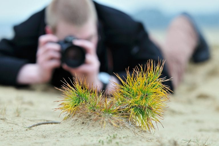 Een deelnemer aan een workshop natuurfotografie op het Kootwijkerzand fotografeert een jonge vliegden.