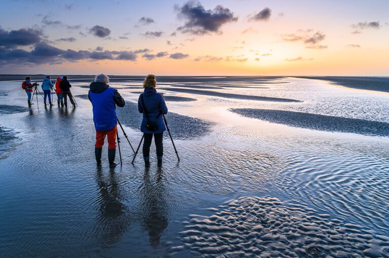 Workshop natuurfotografie Ameland